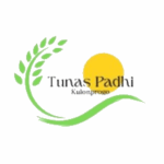 Logo Perusahaan Yayasan Tunas Padhi Kulon Progo - Lowongan Accounting