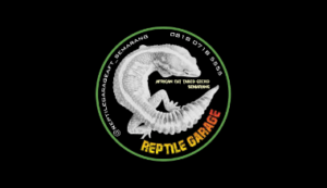 Logo Perusahaan Reptile Garage - Lowongan Kerja Desainer Grafis (Full Time/ Freelance) – Helper Gudang – Konten Kreator (Full Time/ Freelance)
