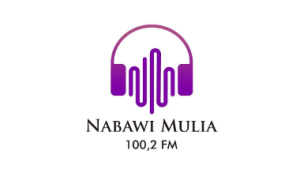 Logo Perusahaan Radio Nabawi Mulia - Lowongan Kerja Account Executive