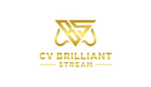 Logo Perusahaan CV. Brilliant Stream - Lowongan Kerja Host Live Streaming Game