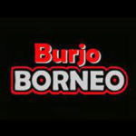 Logo Perusahaan Borneo Group Indonesia