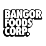 Logo Perusahaan Bangor Group Indonesia - Lowongan Field Support